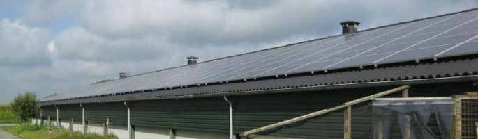 Referentie Hollandscheveld, Nederland