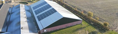 Commerciële systemen: Reynders Fokvarkens