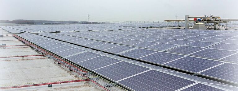 Zonnestroominstallatie bij d’Arta Frozen Food in Ardooie